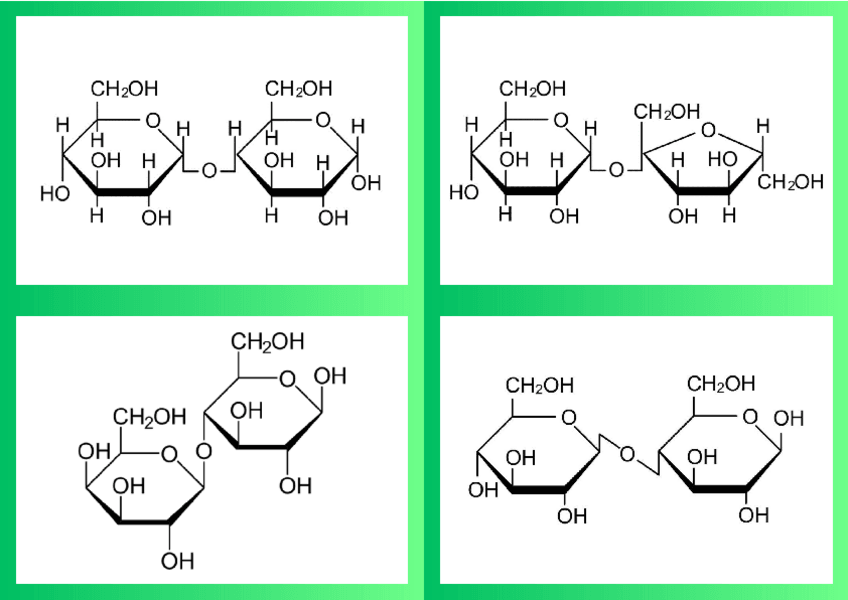 Miniatura del documento FLASHCARDS-BLOQUE-1-BIOQUIMICA.pdf