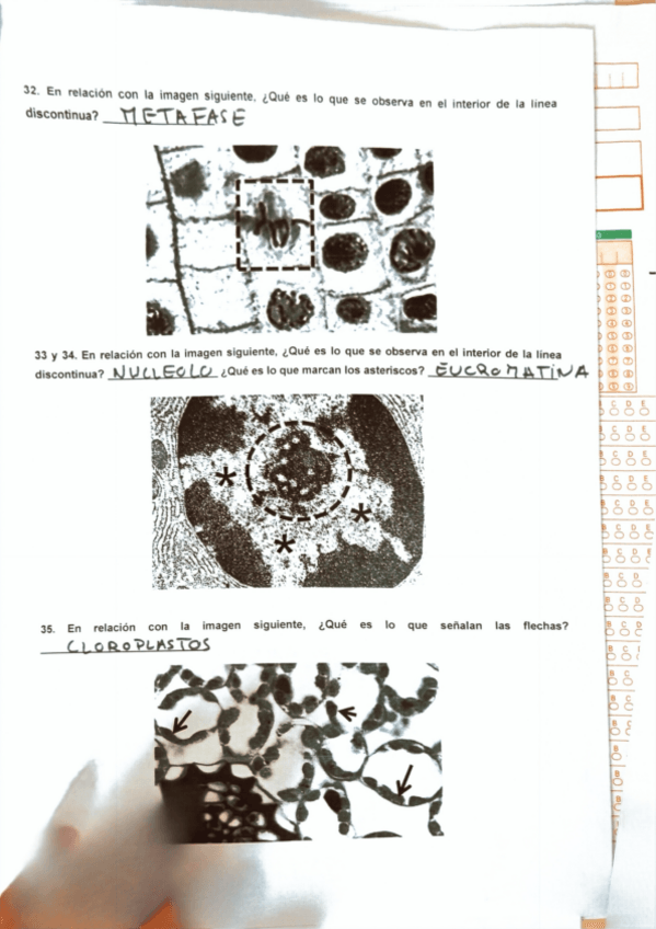 Miniatura del documento Examen-practico-imagenes-Biologia-Celular..pdf