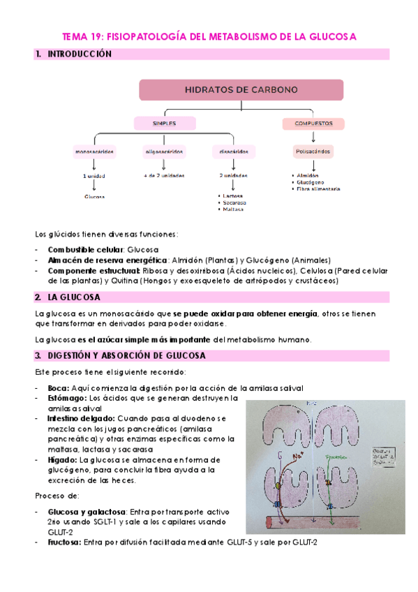 Miniatura del documento TEMA-19.pdf
