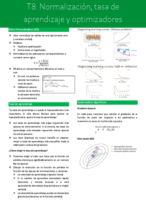 Miniatura del documento T8-Normalizacion-tasa-de-aprendizaje-y-optimizadores.pdf