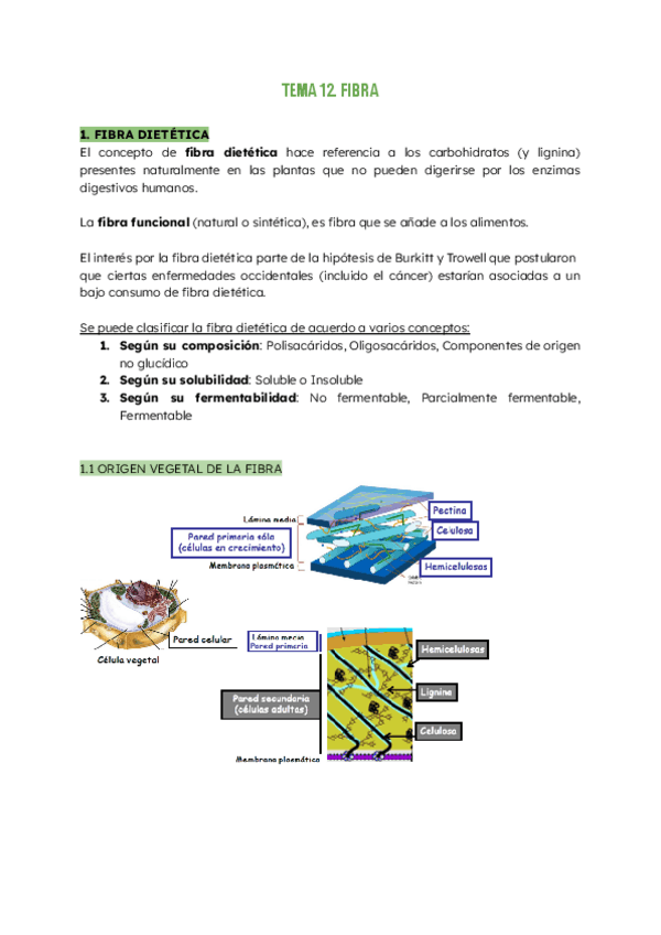 Miniatura del documento BIOQUIMICA-ESTRUCTURA.-TEMA-12-FIBRA.pdf