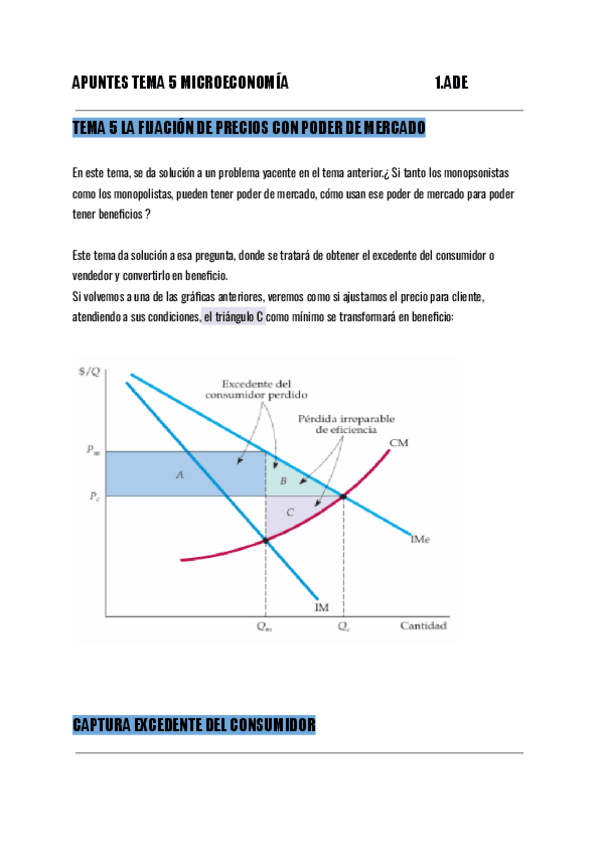 Miniatura del documento Apuntes-Tema-5-Microeconomia-1.ADE.pdf