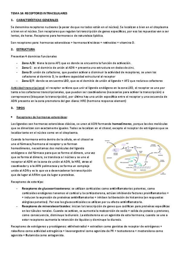Miniatura del documento TEMA-14.-RECEPTORES-INTRACELULARES.pdf