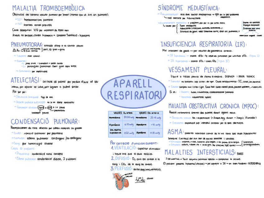 Miniatura del documento Fisiopatologia-respiratoria.pdf