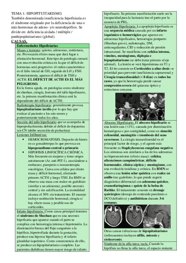Miniatura del documento TEMA-1-HIPOPITUITARISMO.pdf