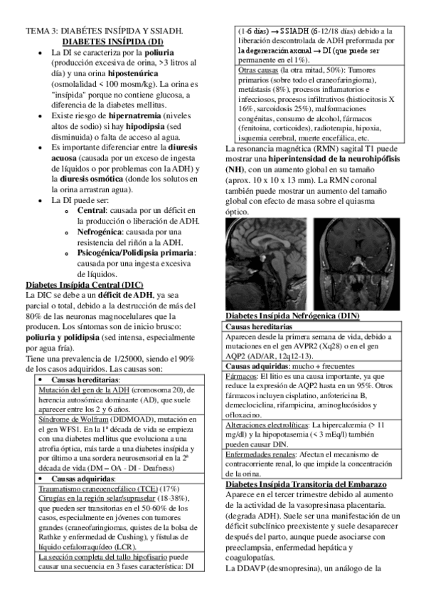 Miniatura del documento tema-3-endocrino.pdf