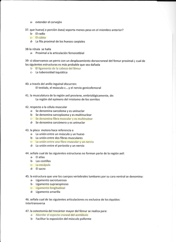 Miniatura del documento Examen anatomía (5).jpg