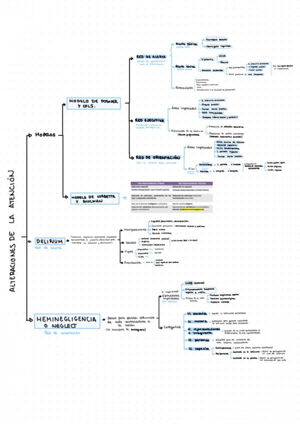 Miniatura del documento Alteraciones-De-La-Atencion.pdf