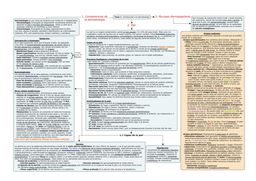 Miniatura del documento esquemas derma.pdf