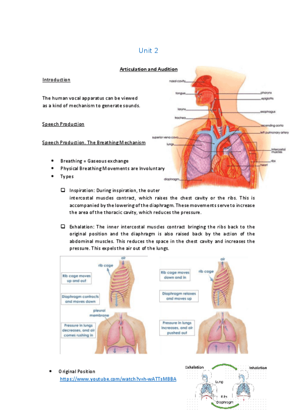 Miniatura del documento Tema 2 cognitivo listo para imprimir.pdf