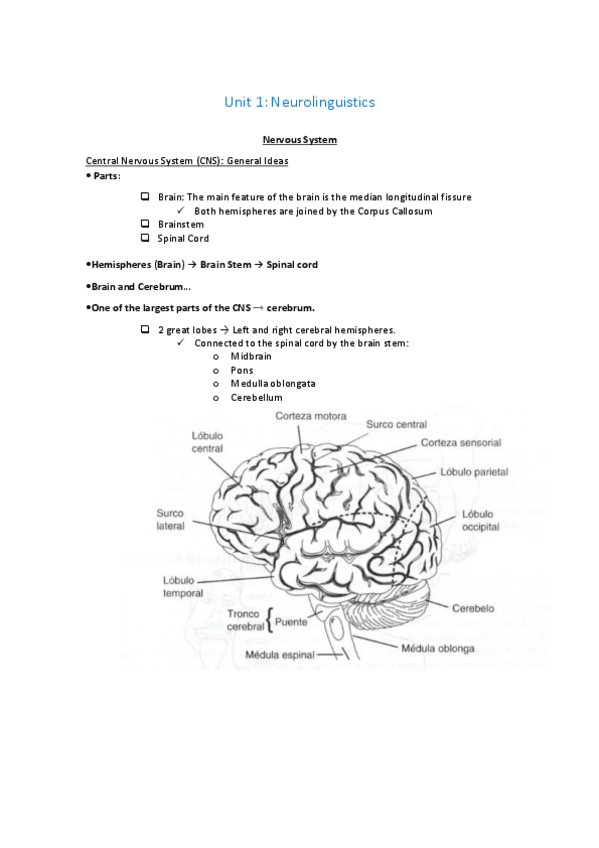 Miniatura del documento Unit 1 Neurolunguistics listo imprimir.pdf