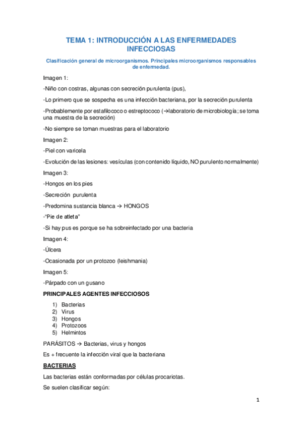 Miniatura del documento MICROBIOLOGÍA.pdf