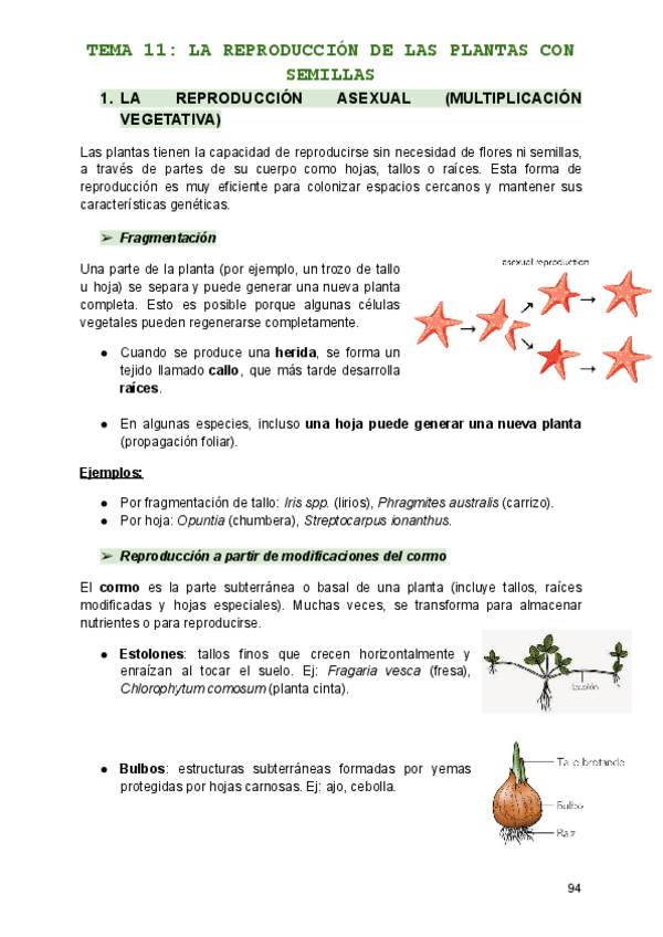 Miniatura del documento TEMA-11.pdf