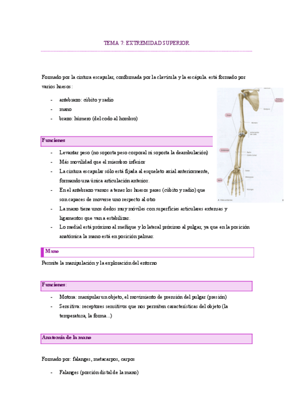 Miniatura del documento tema-6.2-extremidad-superior.pdf