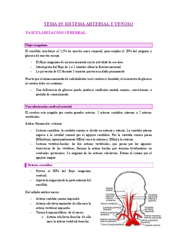 Miniatura del documento tema-19-vascularizacion.pdf