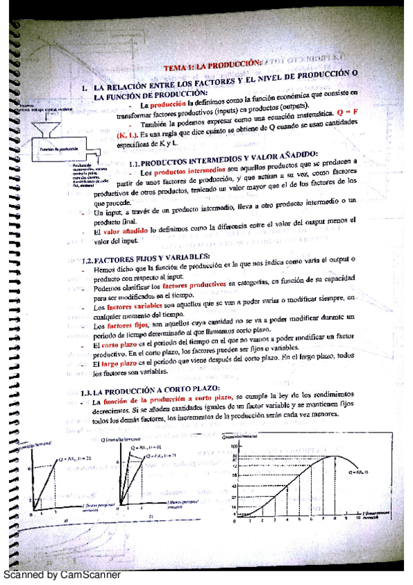 Miniatura del documento TEMA 1.pdf