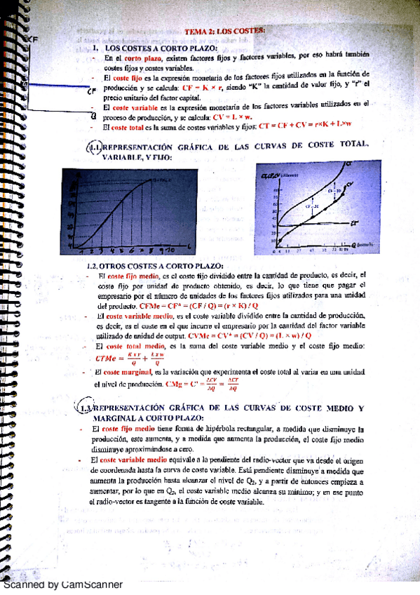 Miniatura del documento TEMA 2.pdf