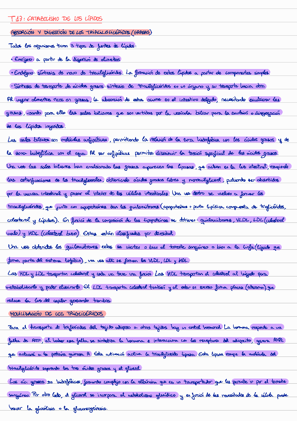 Miniatura del documento Catabolismo-lipidos.pdf
