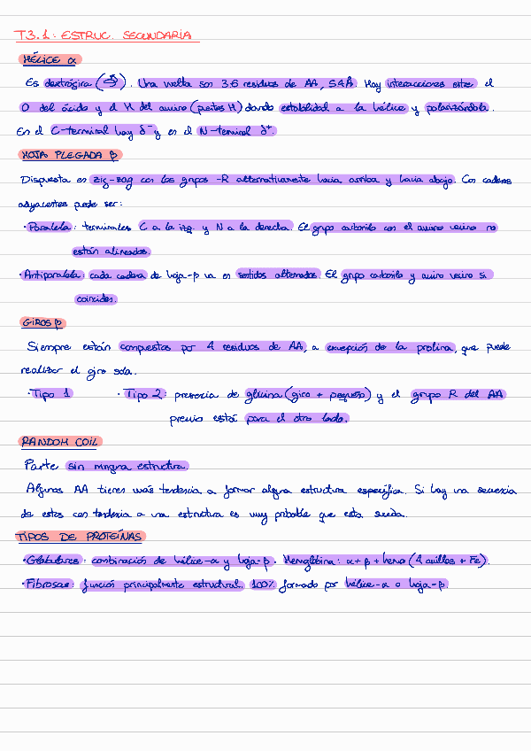 Miniatura del documento Estructura-secundaria.pdf