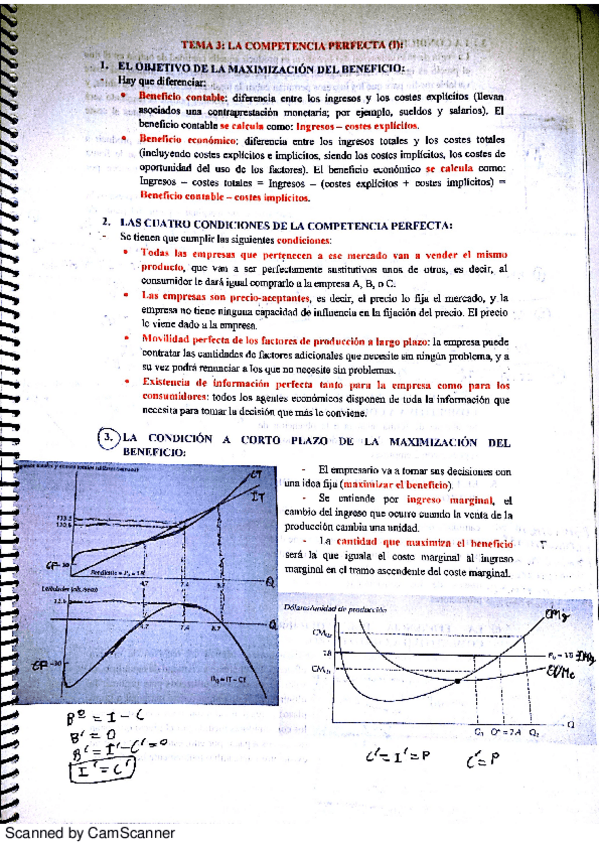 Miniatura del documento TEMA 3.pdf