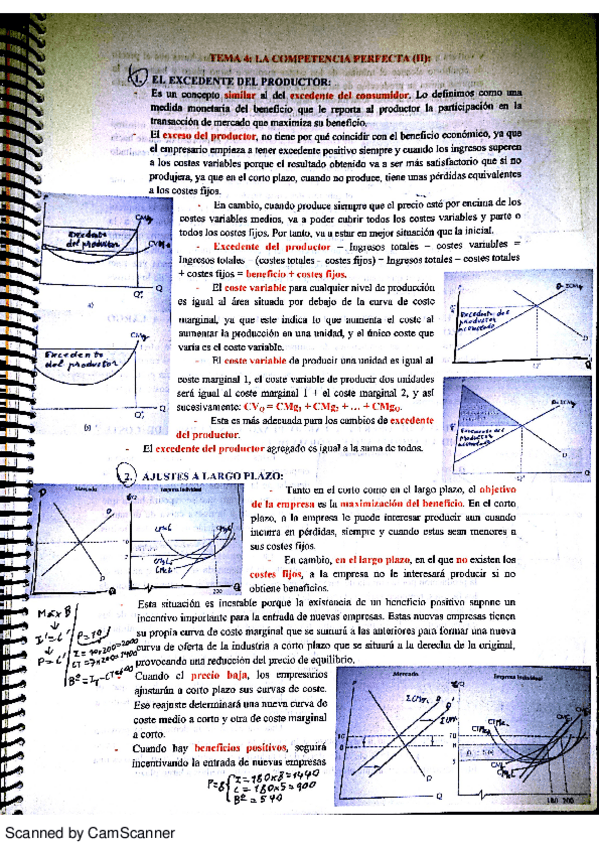 Miniatura del documento TEMA 4.pdf