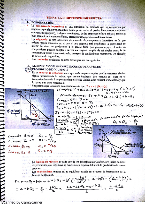 Miniatura del documento TEMA 6.pdf