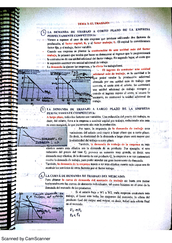 Miniatura del documento TEMA 7.pdf