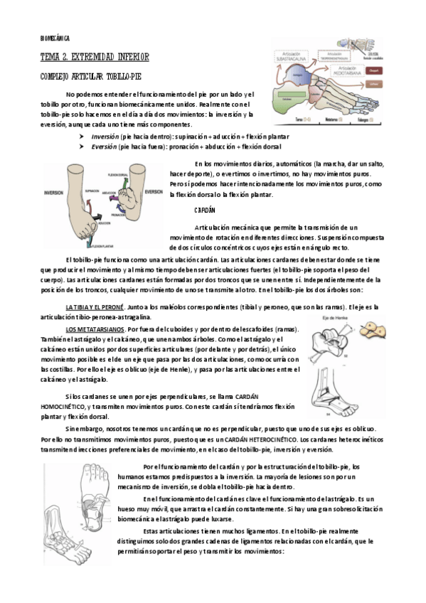Miniatura del documento biomecanica-2-extremidad-inferior.pdf