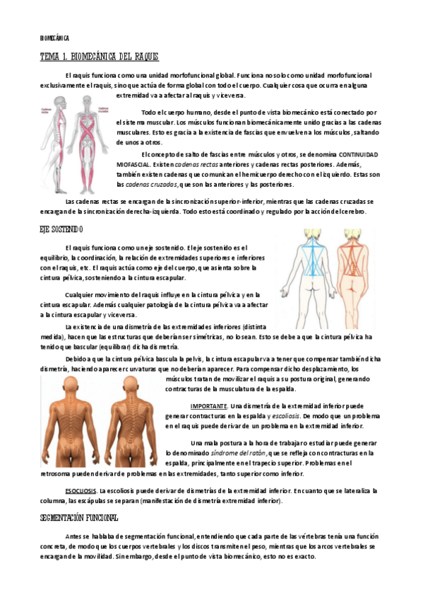 Miniatura del documento biomecanica-1-raquis.pdf