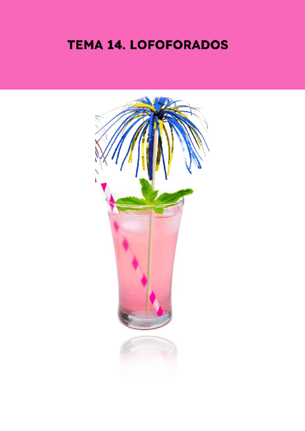 Miniatura del documento Tema-14.-Lofoforados.pdf