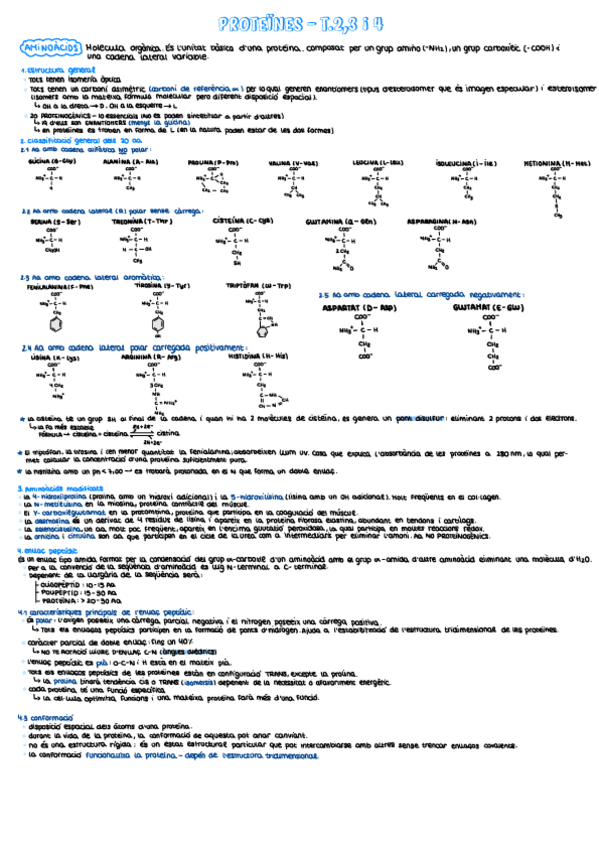 Miniatura del documento Bioquimica-1.pdf