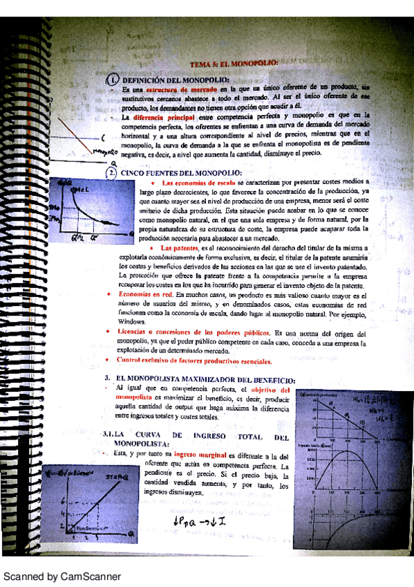 Miniatura del documento TEMA 5.pdf
