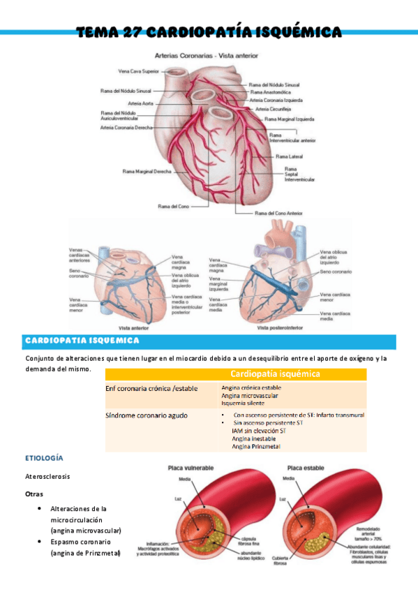 Miniatura del documento T27-Patologia-medica-general.pdf