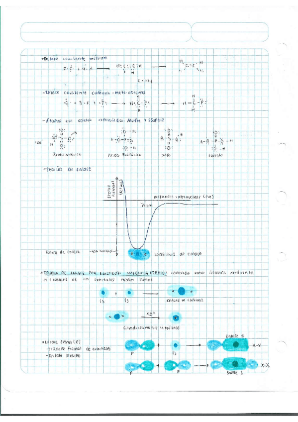 Miniatura del documento Escaner20250504-6.pdf