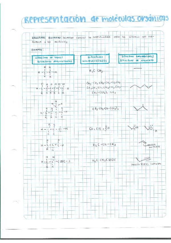 Miniatura del documento Escaner20250504-13.pdf