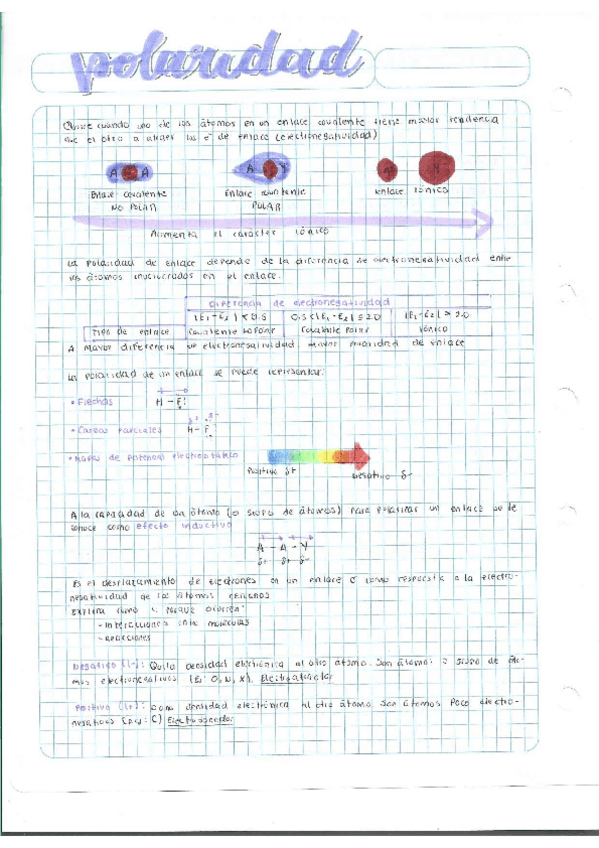 Miniatura del documento Escaner20250504-14.pdf