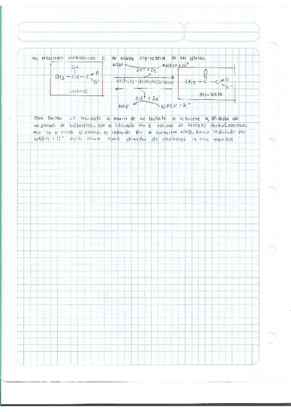 Miniatura del documento Escaner20250504-8.pdf