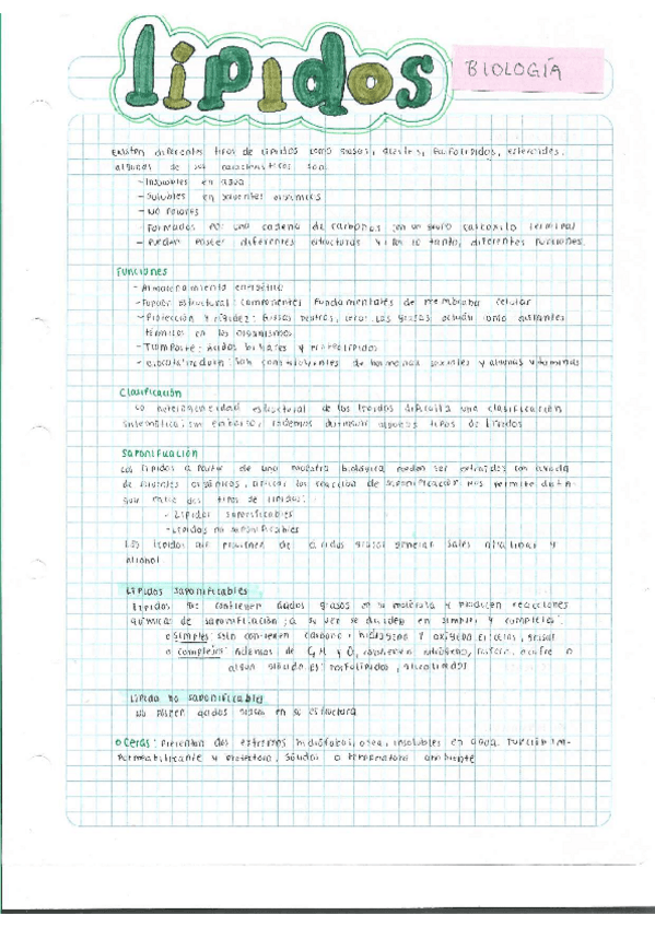 Miniatura del documento Escaner20250504.pdf