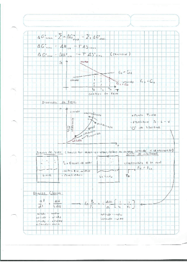 Miniatura del documento Escaner20250504-19.pdf