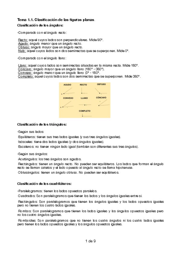 Miniatura del documento APUNTES-copia.pdf