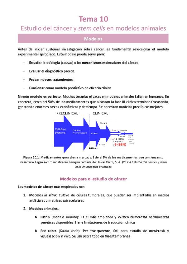 Miniatura del documento Tema-10-Estudio-del-cancer-y-stem-cells-en-modelos-animales.pdf