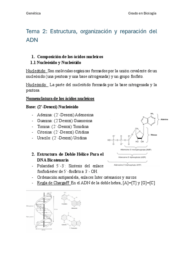 Miniatura del documento Unidad-2-genetica.pdf