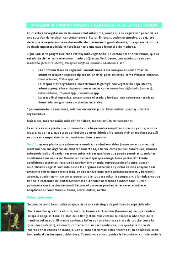 Miniatura del documento SALIDA-DE-CAMPO.pdf