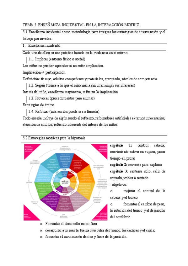 Miniatura del documento TEMA-5.-ENSENANZA-INCIDENTAL-EN-LA-INTERVENCION-MOTRIZ.pdf