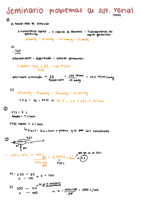Miniatura del documento seminario-problemas-fisio.pdf
