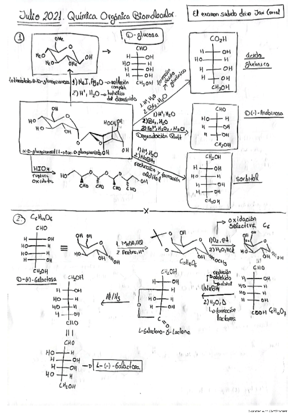 Miniatura del documento QOB-2021-XULLO.pdf