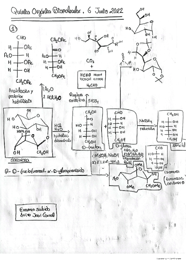 Miniatura del documento QOB-Examen-junio-2022.pdf