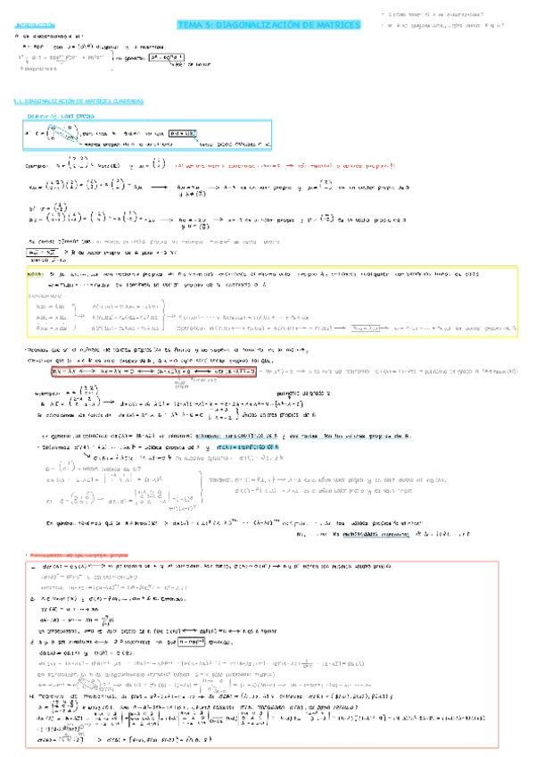 Miniatura del documento TEMA-5-DIANOLIZACION-MATRICES.pdf