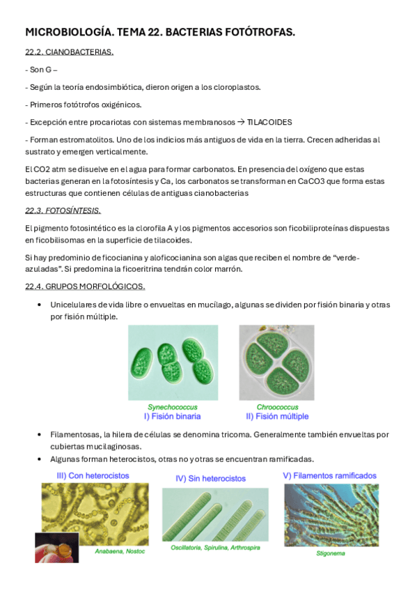 Miniatura del documento MICRO-T22.pdf