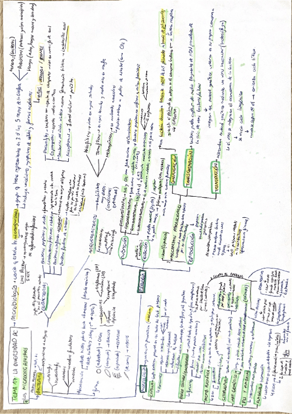 Miniatura del documento Tema-17-Los-microorganismos.pdf